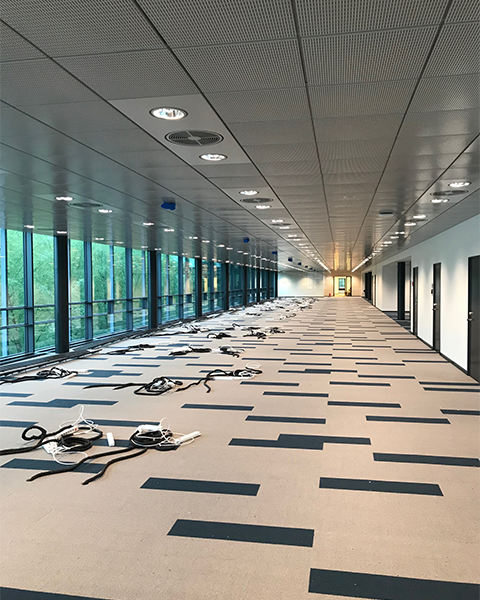 IMG_5541_small_original