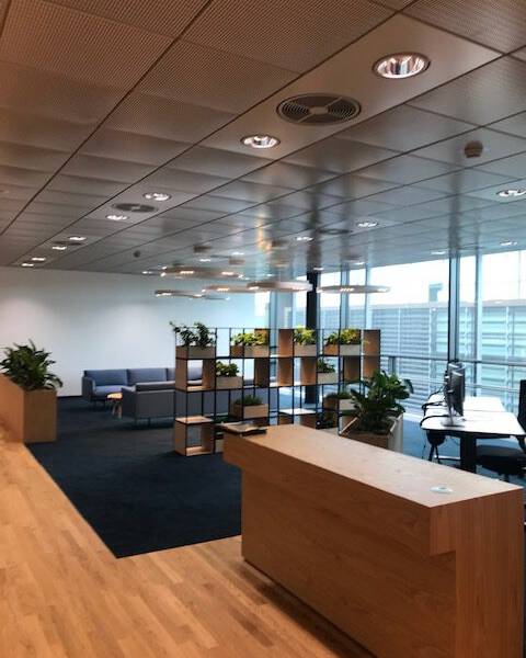 IMG_6145-rotated_original